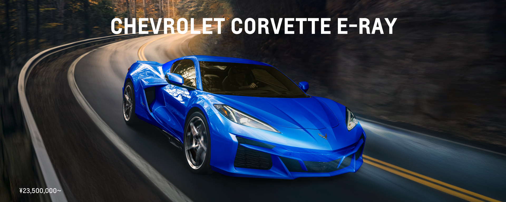 CHEVROLET CORVETTE E-RAY